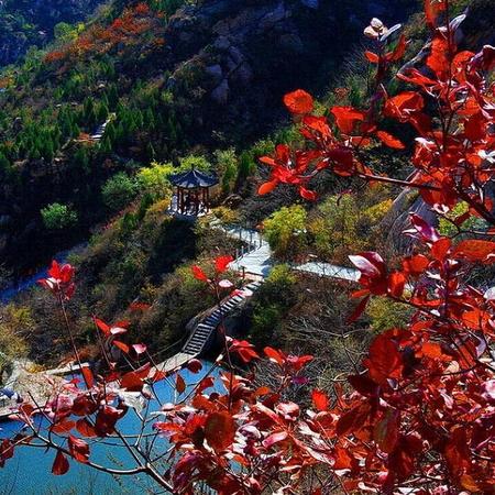 【金秋赏红叶特辑】这个秋天，看北京最美红叶，做最有趣团建！