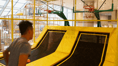 timg.gif
